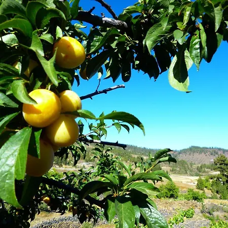 Suncanarias Vilaflor